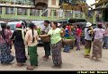 Boudry Andy - Magnifique Birmanie - 682